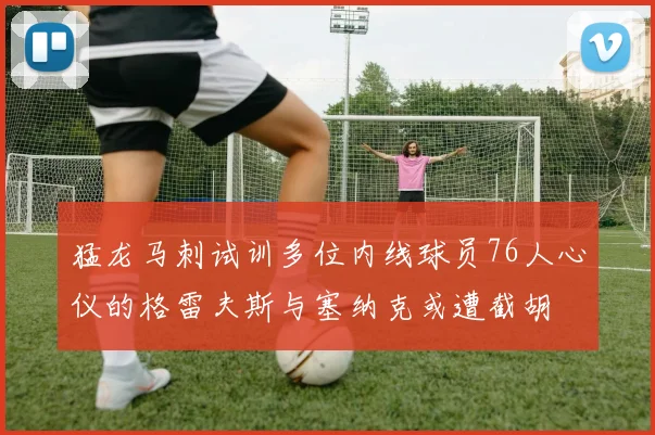 猛龙马刺试训多位内线球员76人心仪的格雷夫斯与塞纳克或遭截胡
